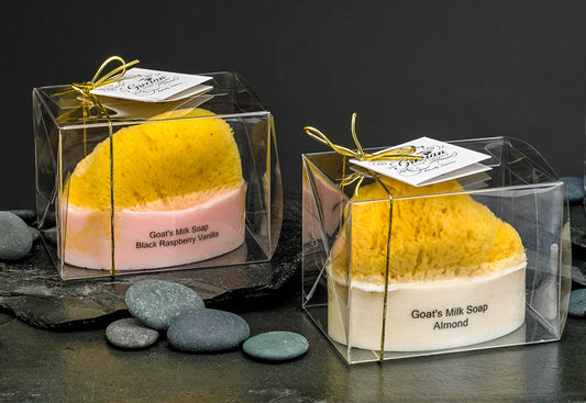 Goat's Milk Soap w/ Embedded Sea Sponge-Coconut